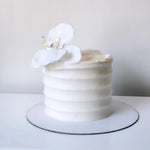 White cake with a single white flower on a white background